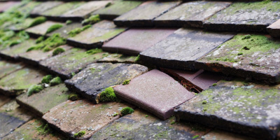 Eastbourne roof repair costs